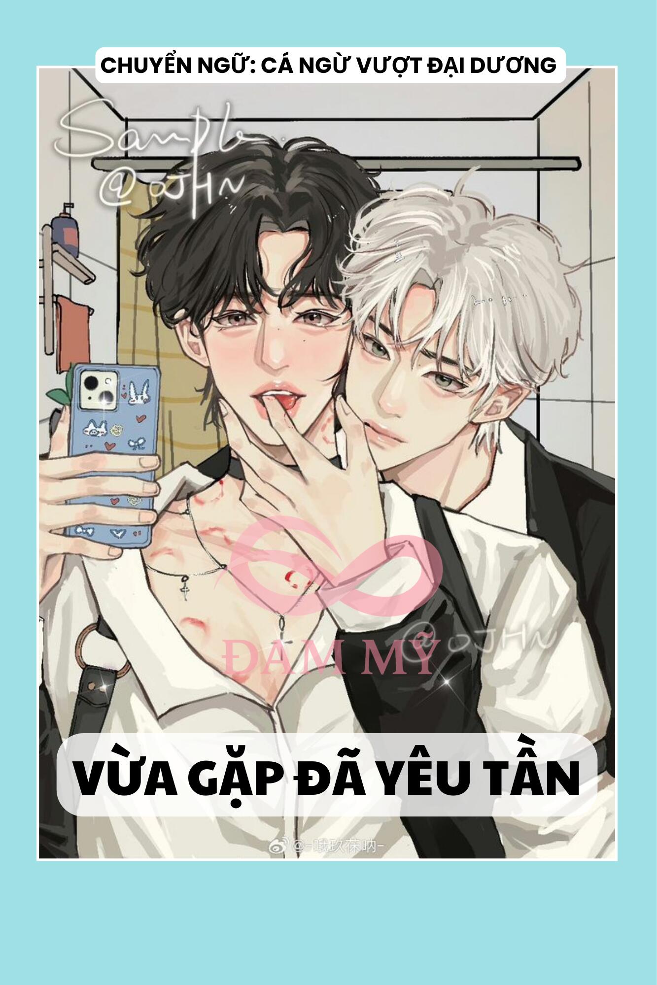 VỪA GẶP ĐÃ YÊU TẦN