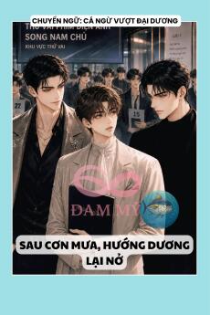 SAU CƠN MƯA, HƯỚNG DƯƠNG LẠI NỞ
