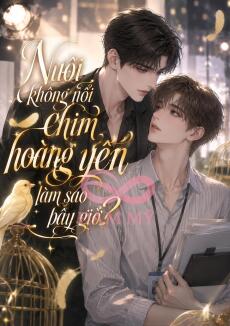 Nuôi Không Nổi Chim Hoàng Yến Làm Sao Bây Giờ?