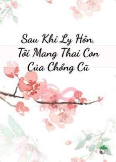Sau Khi Ly Hôn, Tôi Mang Thai Con Của Chồng Cũ